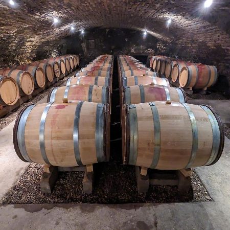 Les Gites De Cour Remond Villers-la-Faye Zewnętrze zdjęcie